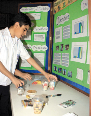 Los pequeños científicos