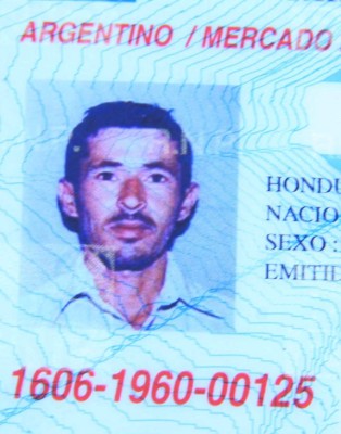 Fallece al chocar su moto con un caballo muerto