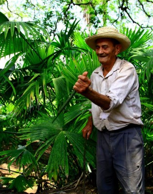 Ceguaca es historia tejida en junco