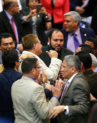 Por un voto, parlamentarios se fueron a los empujones
