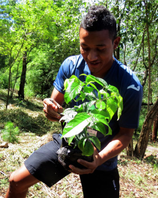 La Bicolor quiere una Honduras verde