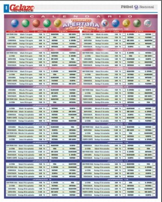 Torneo Apertura 2007 - 2008