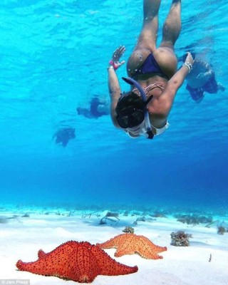 Y a Mari Ag... ¿quién la protege?