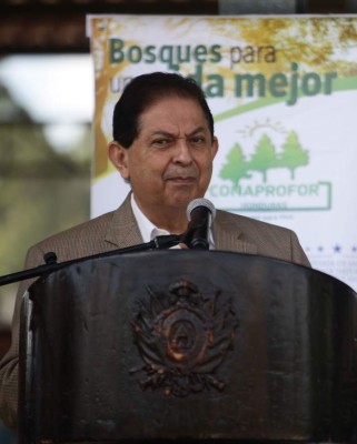 Acusaciones contra el Partido Nacional son absurdas: Alcerro