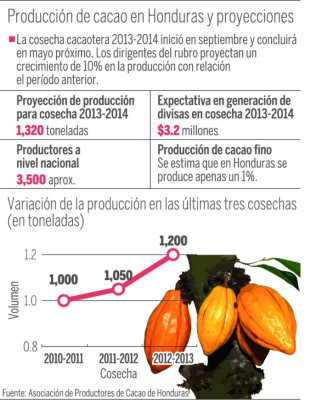 Cacao hondureño recibe un premio mundial en Francia