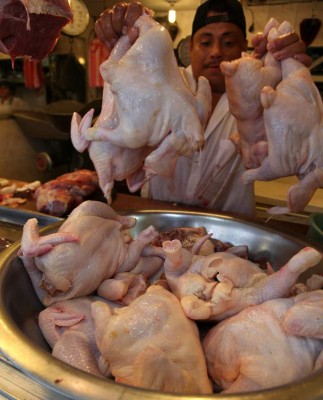 Honduras más cerca de exportar pollo