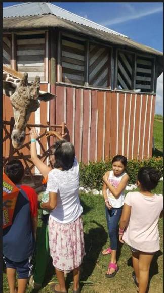 Era el principal atractivo de los asistentes al parque Joya Grande debido a la cercanía que tenía con los niños.