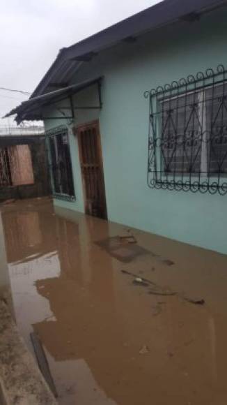 Casas inundadas en la col. Celeo Gonzáles.