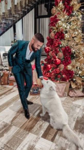 Maluma<br/><br/>El reguetonero compartió que estaba junto a su familia, como lo prometió publicó la respectiva foto junto al árbol de Navidad acompañado de su mascota.