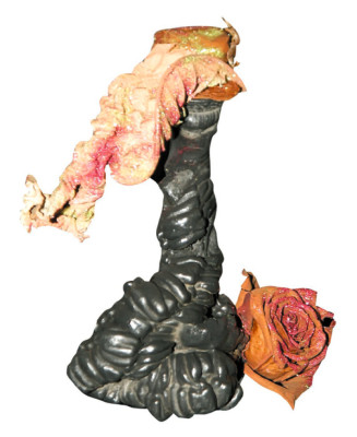 Bellezas en miniatura