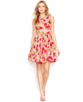 Rosas rojas, vista con la bella flor