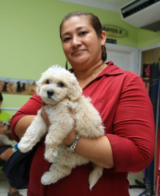 Sampedranos prefieren perros de razas pequeñas y nobles