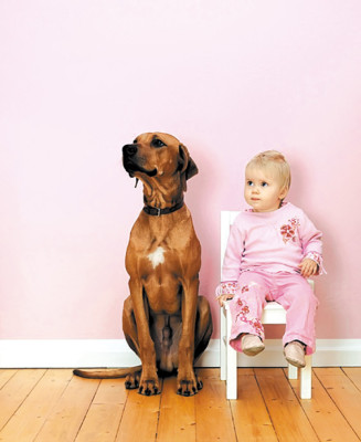 ¡A mimar a sus mascotas!