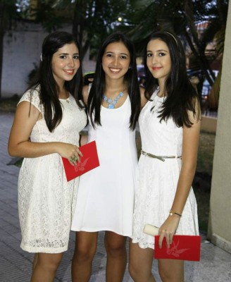 Confirmaciones EIS 2014