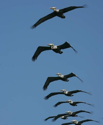 Por los encantos escondidos de Punta Sal