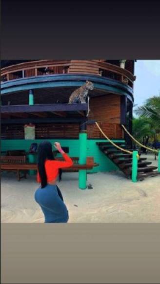 Jailyne disfrutó de la variada fauna que se encuentra en ciertos centros turísticos de Islas de la Bahía.