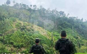 Peligra el agua para más de un millón de habitantes debido al ensañamiento que hay con la montaña, comparada por su valor ecológico y humano con la biósfera del Río Plátano.