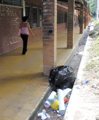 Intervienen cesamos para prevenir dengue