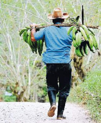Una ciudad con sabor rural