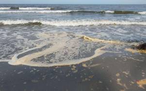 En esa zona, la contaminación por desechos químicos y sólidos como plásticos, desechos hospitalarios y otros es tal, que el oleaje es espumoso y apestoso.