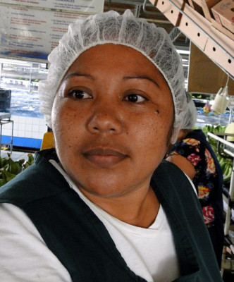 Bananeros esperan repunte de 1.6 millones de cajas en 2014