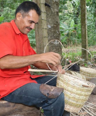 Ruta 504: Santa Bárbara, tierra de artesanos del junco y la palma