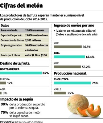 Meloneras prevén captar L2,500 millones por envíos