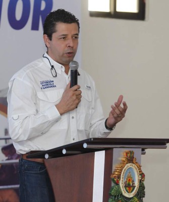 Importadores comprarán L60 millones anuales en carne de cerdo