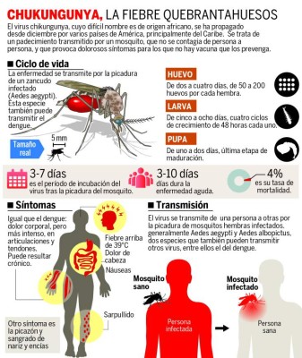 Alerta en Honduras por supuesto brote de chikunguña