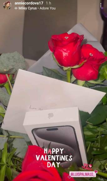 Annie mostró en su cuenta oficial de Instagram los obsequios de Luis Palma. En la imagen se observan rosas y un teléfono celular.