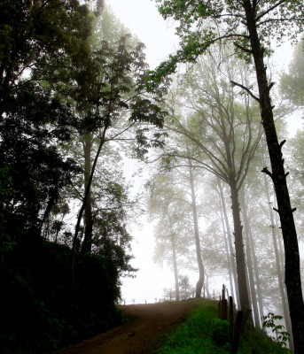 Explore el Cusuco, la joya natural que encuentra en El Merendón