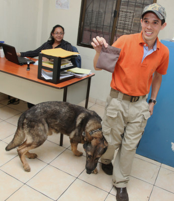 Alf, 'no es un perro drogo, trabaja por un premio”