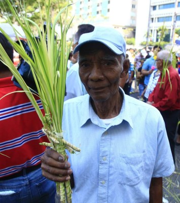 'El Domingo de Ramos es un acto público de la fe”