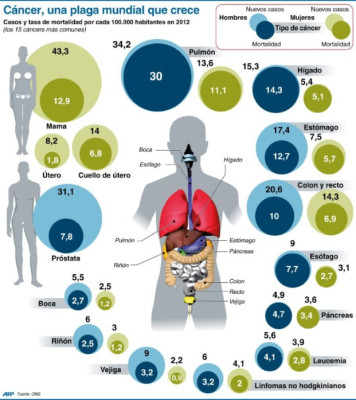 Infografía sobre los diferentes tipos de cáncer.