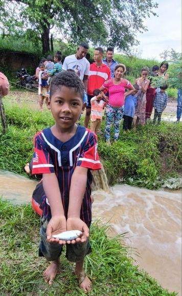 Un beneficio tangible de este fenómeno para una comunidad donde el ingreso estimado per cápita anual es un poco más de US$ 3.000 al año, según el perfil Sociodemográfico de Yoro publicado por la Universidad Nacional Autónoma de Honduras en 2022.