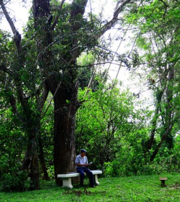 En El Puente vivía la élite de los mayas