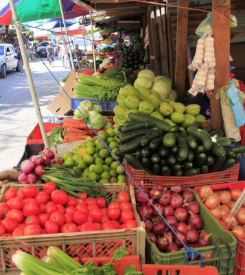 Buscan crear lazos con empresarios dominicanos