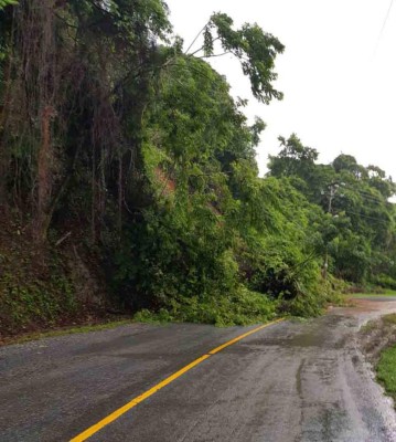 Lluvias dejan un muerto y destrucción en Roatán