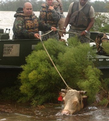 Ike sembró desolación pero no se cobró vidas