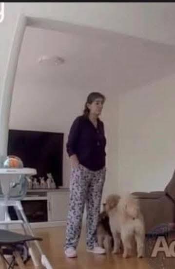 Suegra de exreina de belleza asegura que su arma “se disparó sola”; le infirió diez tiros