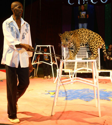 Dejó las playas por el circo