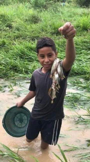 Periodista hondureño sale a buscar tomas desde la montaña y termina mordido por serpiente