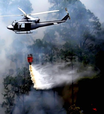 Ministerio Público investiga mano criminal en voraz incendio forestal