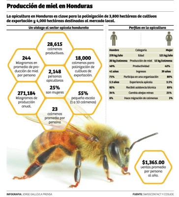 Proyectos europeos empujan crecimiento de la apicultura