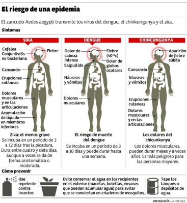 Alertan por relación entre el virus del Zika y microcefalia