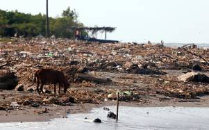 Decenas de kilómetros de playa se limpian cada día en Omoa, pero donde no hay quién pague, la basura se acumula. Hoteles y restaurantes ahora presupuestan el retiro de desechos.