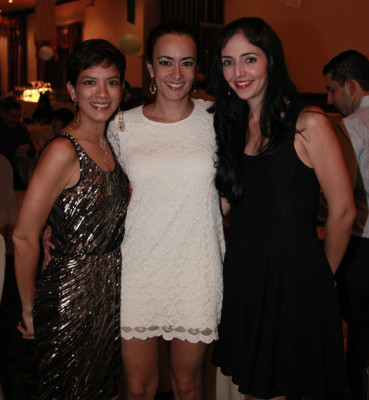 Cemesa despide el 2013