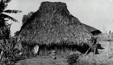 ¿Sirenas en el Lago de Yojoa? Las leyendas que hacen temblar a los turistas