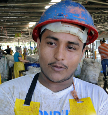 Bananeros esperan repunte de 1.6 millones de cajas en 2014