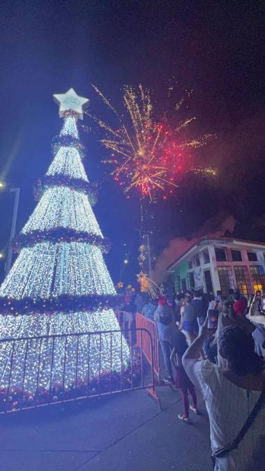 El árbol navideño del parque central es el mayor atractivo para los visitantes. 